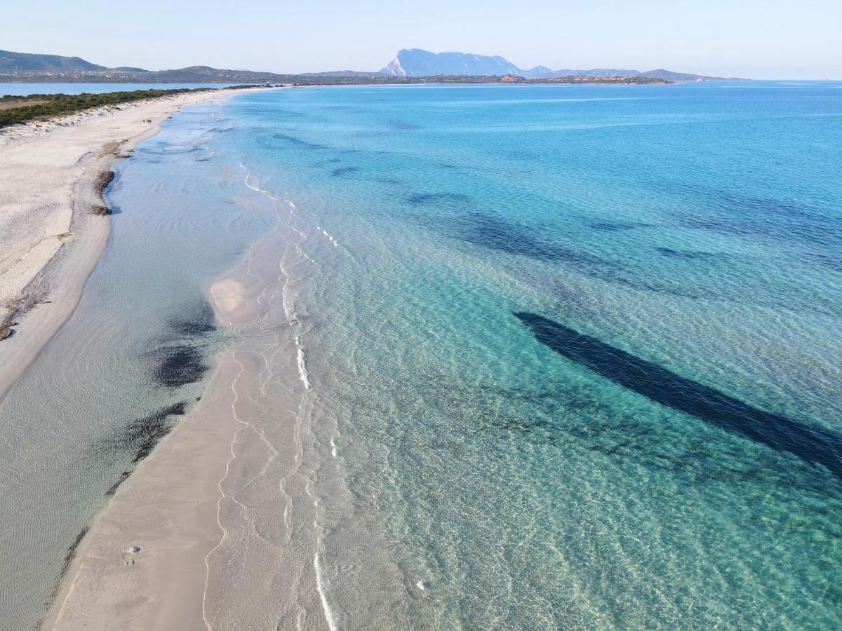 Iss Travel, Le Carrube Two Bedrooms Apartments With Air Conditioning San Teodoro  Kültér fotó